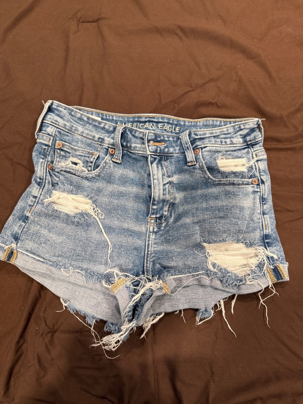 American Eagle Outfitters Light Blue Distressed Denim Cutoff Shorts